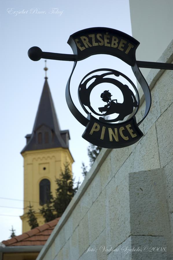 Апартаменты Erzsebet Pince Токай Экстерьер фото